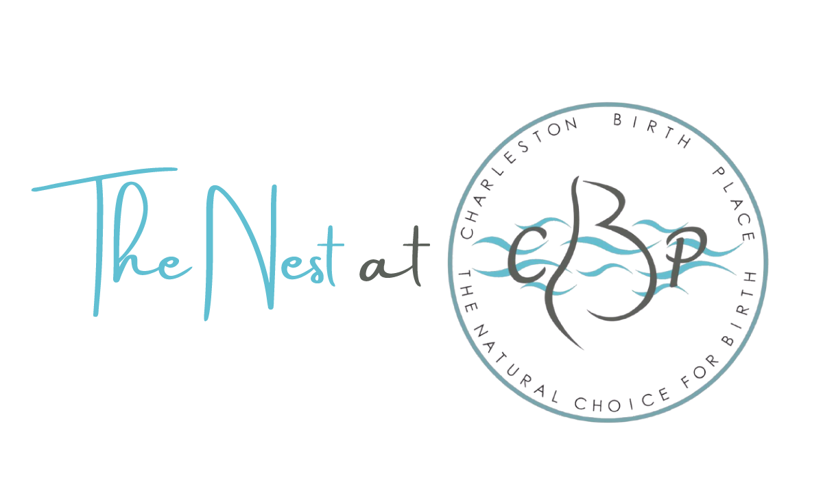 Charleston Birth Place The Nest Logo 2