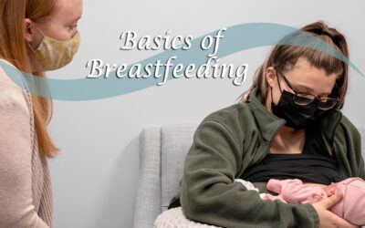 Basics of Breastfeeding