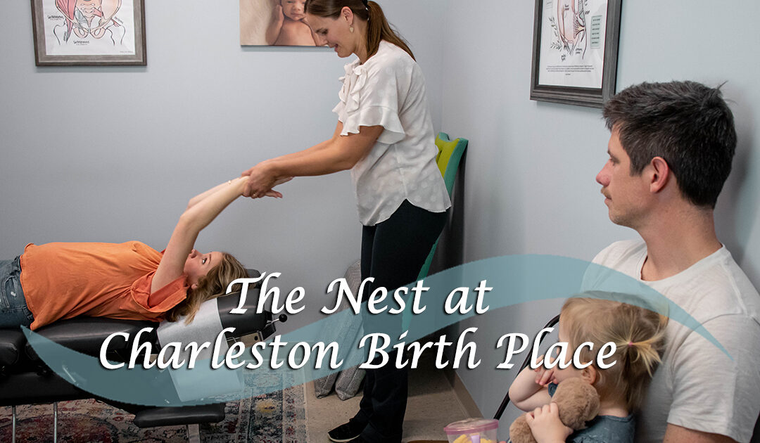 The Nest at Charleston Birth Place