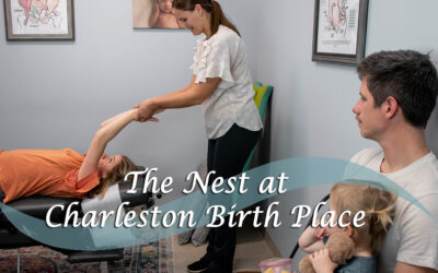 The Nest at Charleston Birth Place